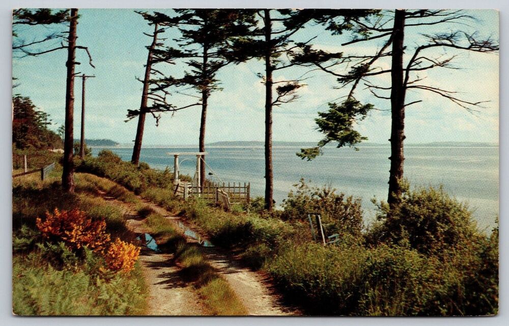 Vintage Postcard 1958 Admiralty Inlet Whidbey Island Washington WA Eric Wahleen